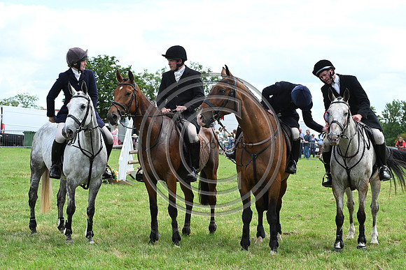 Festival of Hounds 2024