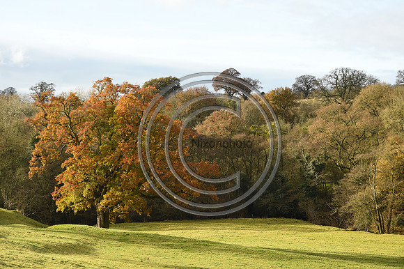Ludlow_Hunting_235