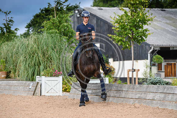 Collective Equestrian