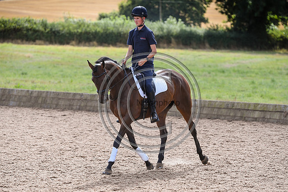Collective Equestrian