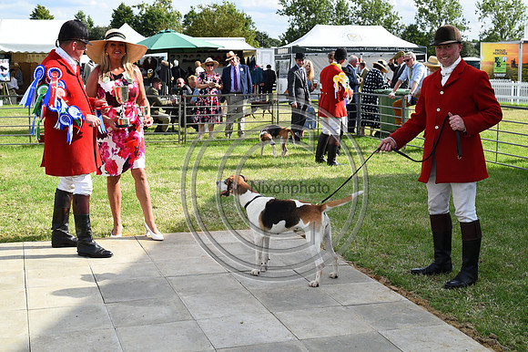 Festival of Hounds 2024