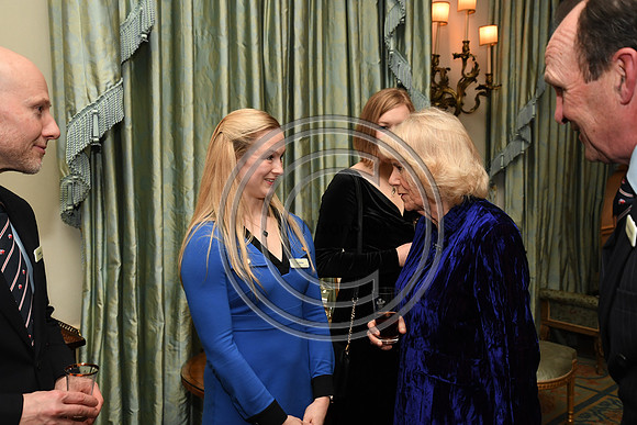 DUCHESS OF CORNWALL_BEF_PN22_10996