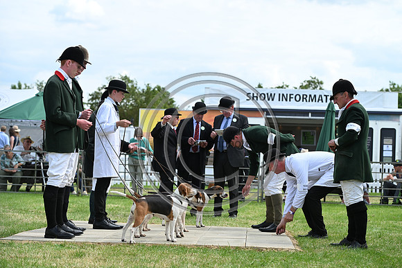 Festival of Hounds 2024