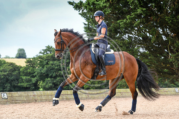 Collective Equestrian