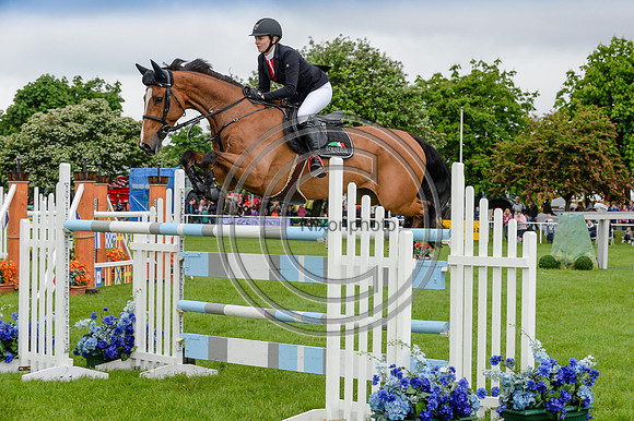 HelloWhiskeyMac_SuffolkShow14pn_4611