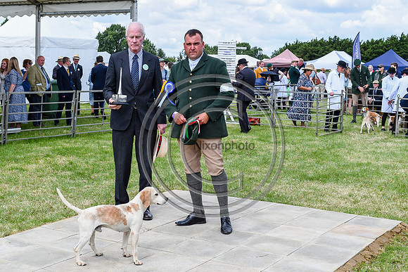 Festival of Hounds 2024