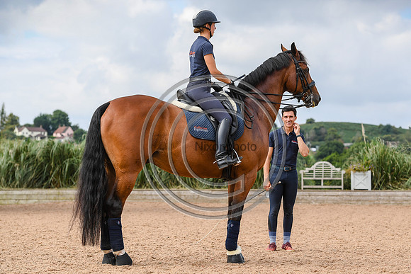 Collective Equestrian