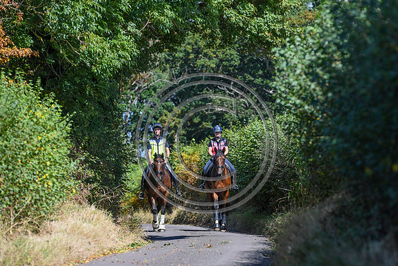 Collective Equestrian