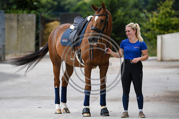 Collective Equestrian