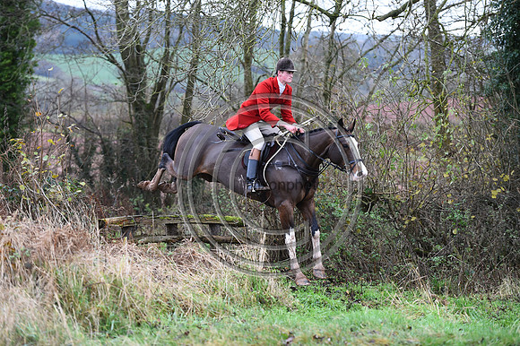 Ludlow_Hunting_16