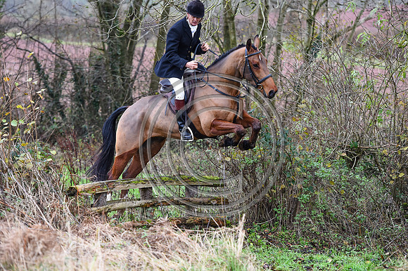 Ludlow Hunts