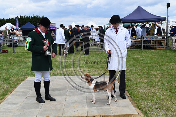 Festival of Hounds 2024