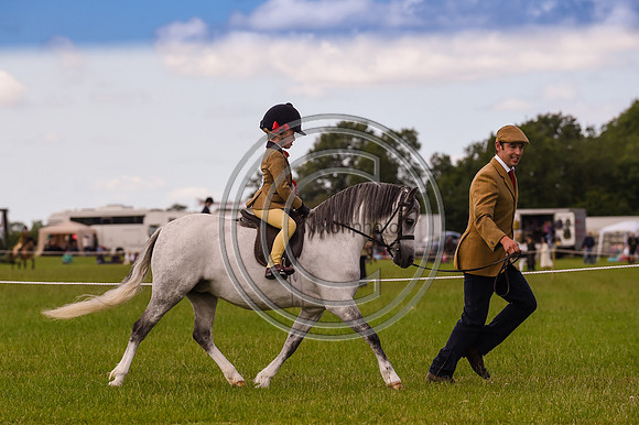 HorseNo928_ShowRegSGS15pn_28584