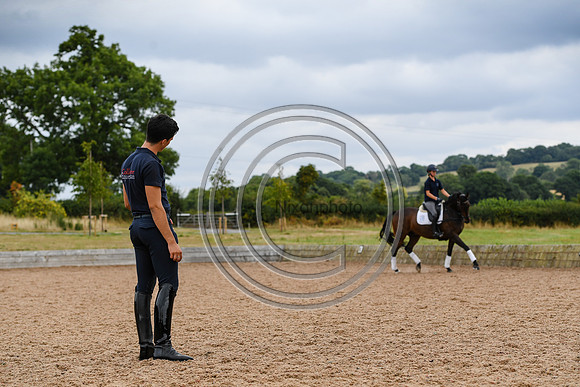 Collective Equestrian