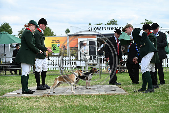 Festival of Hounds 2024