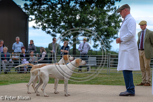 PrePuppyShow_BWCH_Hunt_PN22_27443
