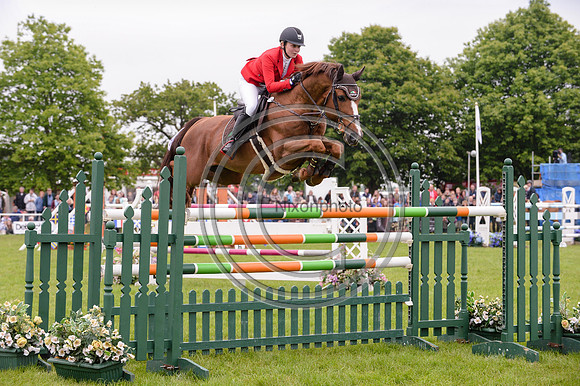 MrDarcy_SuffolkShow14pn_4855