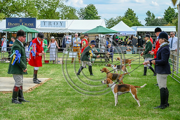 Festival of Hounds 2024