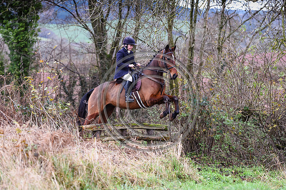 Ludlow Hunts
